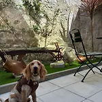 Pensión Dona Emília Studio Apartments Viana do Castelo