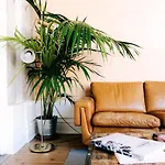 Dona Emília Studio Apartments Viana do Castelo