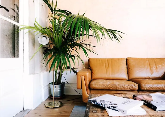 Dona Emilia & Building Viana do Castelo